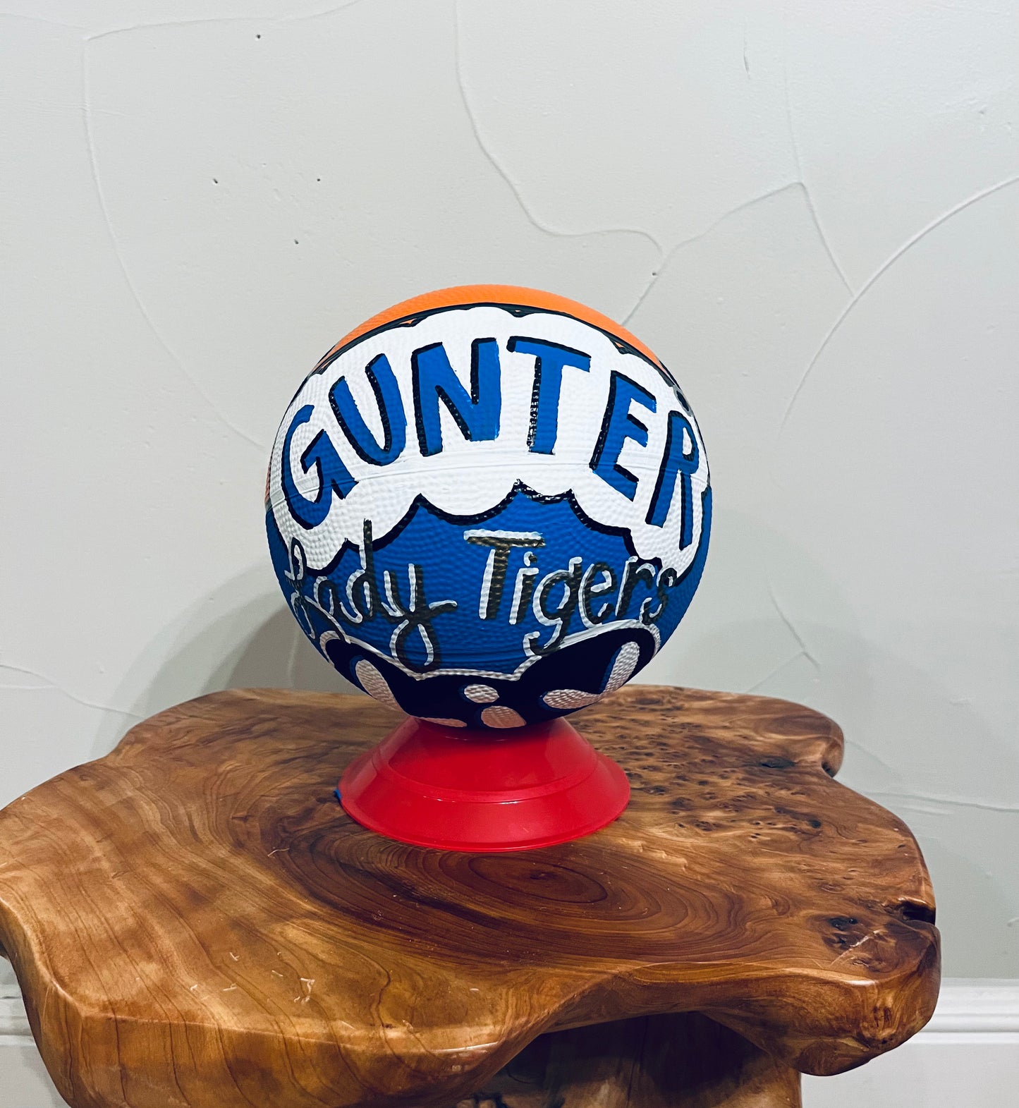 Custom Painted Mini Baskeball